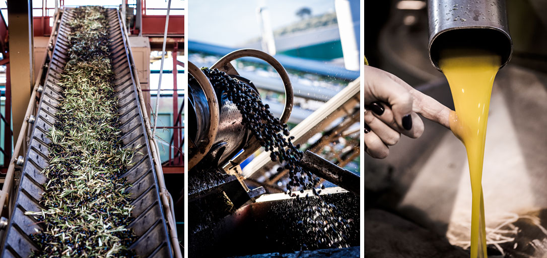 Oliwa hiszpańska kwasowość 0,4%